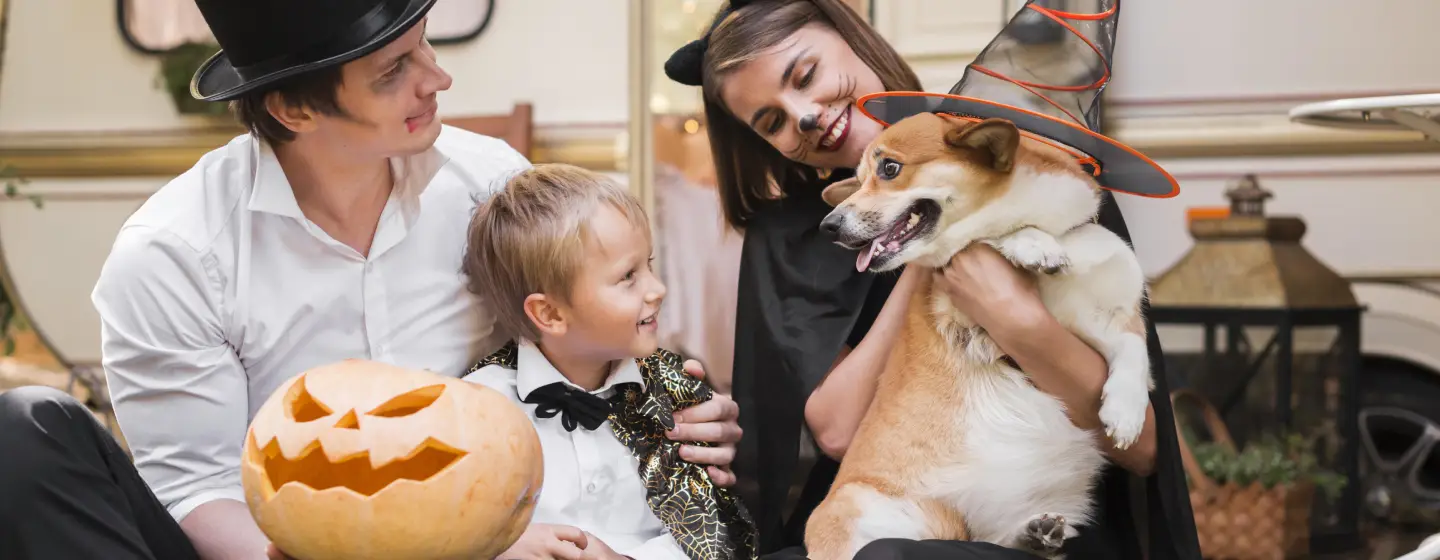 Halloween Pet Hazards