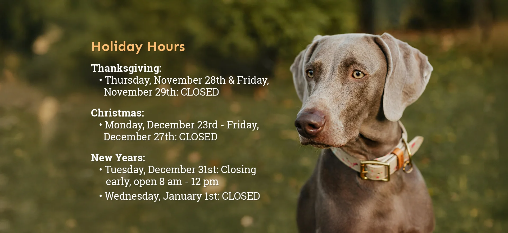 Holiday hours notice: Thanksgiving - 11/28 and 11/29 we will be closed. Christmas - 12/23 to 12/27 we will be closed. New Years - 12/31 we will close early 8am to 12pm. 1/1 we will be closed.